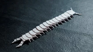 Origami Centipede Tutorial (Henry Pham)