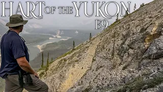 Hart of the YUKON - 14 Days Solo Camping in the Yukon Wilderness - E.9 - Searching for Sheep Caves