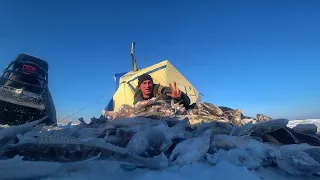 УДАЧНО ПОСТАВИЛИ ПАЛАТКУ и НАЛОВИЛИ ГОРУ РЫБЫ! Кивки загибает ОДИН за ДРУГИМ, БЕШЕНЫЙ КЛЁВ ПРОСТО