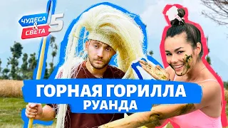 Горная горилла, Руанда. Орёл и Решка. Чудеса света (eng, rus sub)