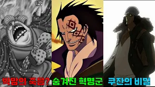 아오키지 검은수염 해적단 합류 확정! 빅맘의 죽음? 드래곤의 비밀병기 베가펑크?