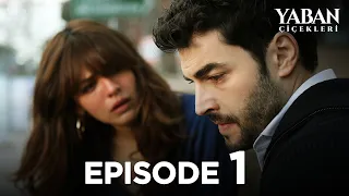Yaban Çiçekleri Episode 1 (Subtitled in English)