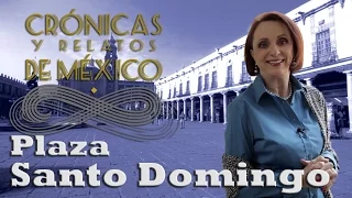 Crónicas y relatos de México - Plaza de Santo Domingo (27/06/2013)