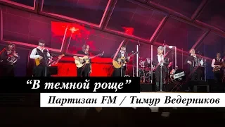 Партизан FM - Песня Брянских Партизан | В Темной Роще Глухой | The Partizan FM  Russian folk band