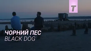 Чорний пес / Black Dog