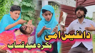 Nafees Aw Online Qasaban | Pashto Funny Video | Afaq Aw Nafees 2023