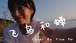 飛鳥和蟬- 任然 Cover By Tina Hu『你驕傲的飛遠 我棲息的夏天』