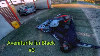 Aventurile lui Black #3 | A căzut în fata mea?!