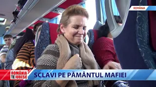 ROMÂNIA, TE IUBESC! - SCLAVI PE PĂMÂNTUL MAFIEI II