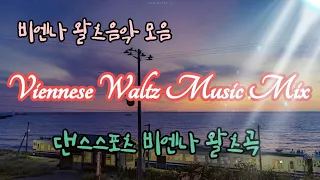 비엔나 왈츠음악모음 viennese waltz music mix(댄스스포츠곡)