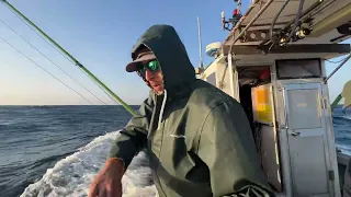 American Deckhand in Okinawa, Japan. Fishing here is Incredible! Logan's Highlight.