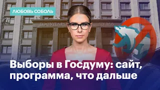 Выборы в Госдуму: сайт, программа, что дальше