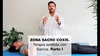 Zona Sacro Coxis. Terapia asistida con Sacrus. Parte I