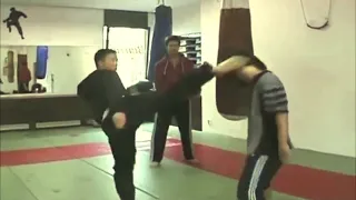 Donnie Yen Training (Extended)