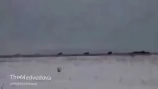 ГРАДы ЛНР ведут огонь MLRS GRAD Lugansk militias firing Украина Сегодня Январь War in Ukraine