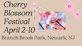 Cherry Blossom Festival April 2-10 Branch Brook Park, Newark, New Jersey