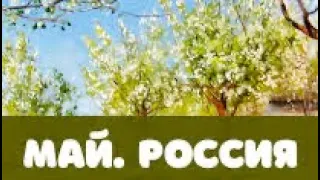 Россия в мае. Таро - прогноз.