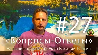 "Вопросы-Ответы", Выпуск #27 - Василий Тушкин отвечает на ваши вопросы