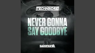 Never Gonna Say Goodbye (Extended Mix)