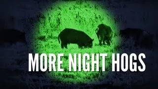 Hog Hunting with Night Vision | Nate's Up Late