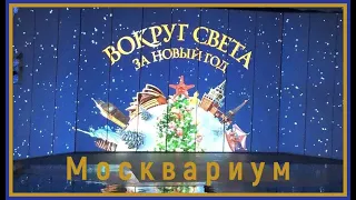 Вокруг света за Новый год // Новогоднее представление в Москвариуме // Москвариум //