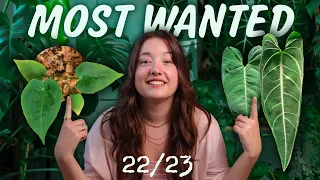 Most wanted Houseplant Updates of the Year | Anthurium Seedlings, Propagations, Grow Light