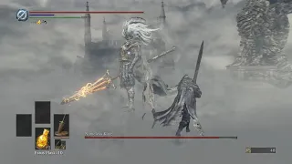 The Nameless King vs. Black Knight Greatsword