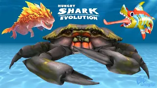 MAGMAJIRA vs Giant CRAB vs SHARKELEON! Hungry Shark Evolution