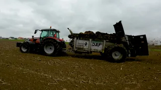 Massey Ferguson 7S.155 🔥 Wywóz obornika na pola i łąki.