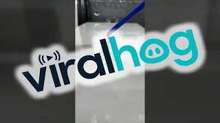 Molten Glass Reacting With Cold Water || ViralHog