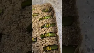 Rooting single node fig cuttings easily in the sand propagation method