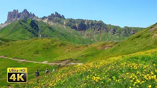 Hiking Wanderer Alpine Meadow | Stock Videos For Editing | No Copyright Videos For Youtube Download