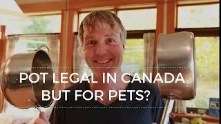 Marijuana Legal in Canada- For Dogs and Cats?