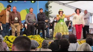 Despique - Festa do Limão 🍋 Ilha Santana Madeira Portugal Picante
