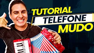 Como Tocar Telefone Mudo no Acordeon Infantil 8 Baixos