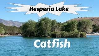 Hesperia Lake CA - Cat Fishing