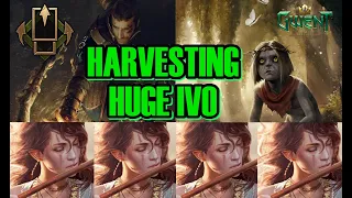 SCOIA'TAEL FIESTA! | HUGE Ivo with 4x Harvest | Gwent kungfoorabbit [English]