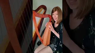 The tiniest harp!