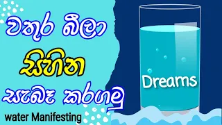 Water Manifesting | වතුර බීමෙන් සැබෑ වෙන හීන | Law Of Attraction | Sinhala | Path To Wisdom | 2022 |