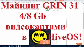 Майнинг GRIN 31 4/8 Гигабайтными видеокартами в  HiveOS! Что профитней Grin 31 или 29?