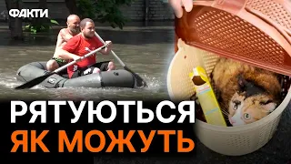 Люди сидять на дахах будинків ДОБУ, з деким НЕМАЄ ЗВ'ЯЗКУ... Наслідки затоплення ХЕРСОНЩИНИ ВРАЖАЮТЬ