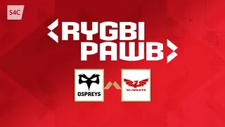 Gweilch dan 18 v Scarlets dan 18 | Rygbi Pawb | S4C