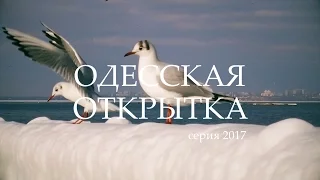 Одесская открытка - 2017 Чайки
