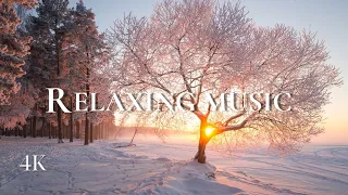 Beautiful Relaxing Music🌿Gentle music helps reduce stress, fatigue, soothe the nervous system, Relax