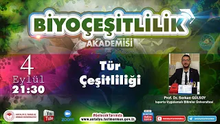 Biyoçeşitlilik Akademisi-5 Tür Çeşitliliği Prof. Dr. Serkan Gülsoy