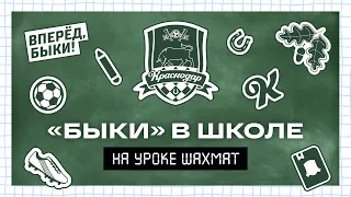 «Быки» в школе. На уроке шахмат