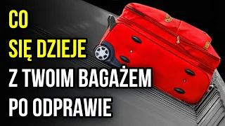 Twój bagaż po odprawie wyrusza w niesamowitą podróż