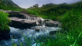 3 Hours Relaxing Nature Sounds: Whitewater Noise: Sleep, Meditation, Beautiful Nature, Soothing
