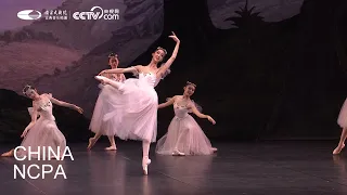Ballet “La Sylphide” Act II (Excerpt)