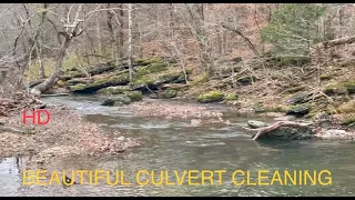 low water bridge clearing. most beautiful spot we have ever cleared! 12/6/22